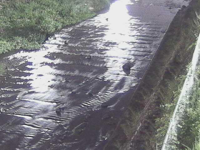 水上橋付近のカメラ画像