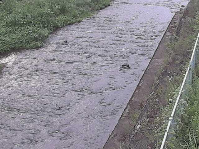 尺里川 水上橋付近のカメラ画像