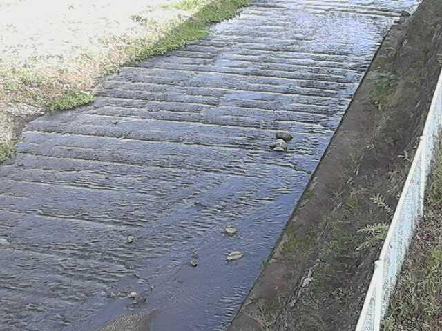 尺里川 水上橋付近のカメラ画像