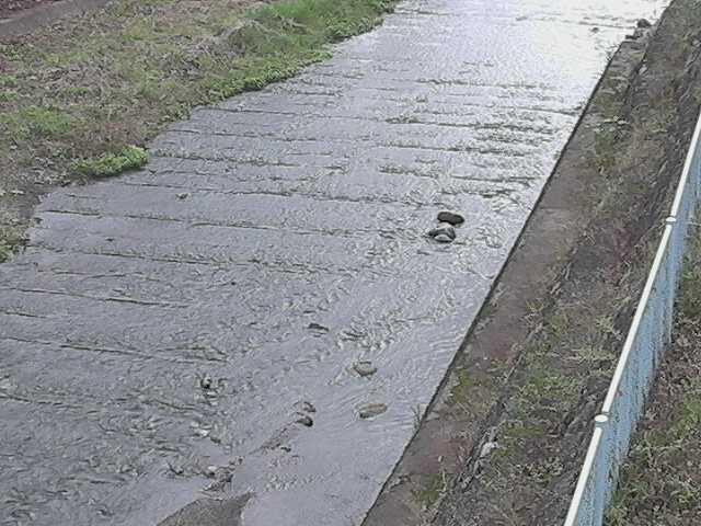 水上橋付近のカメラ画像