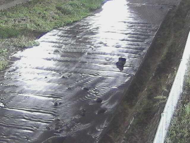 水上橋付近のカメラ画像
