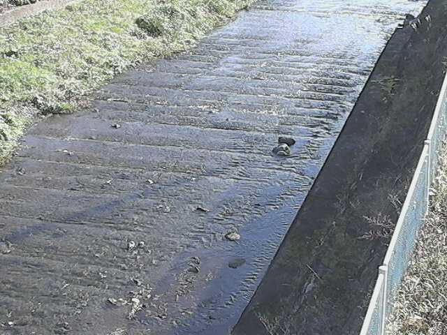 水上橋付近のカメラ画像