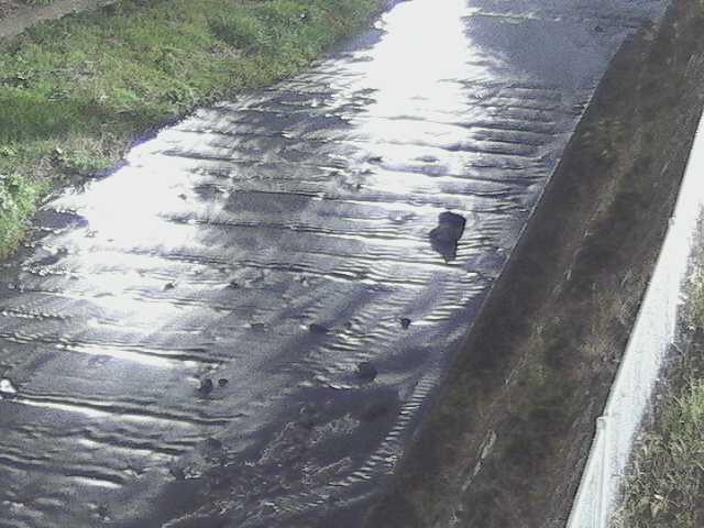 水上橋付近のカメラ画像