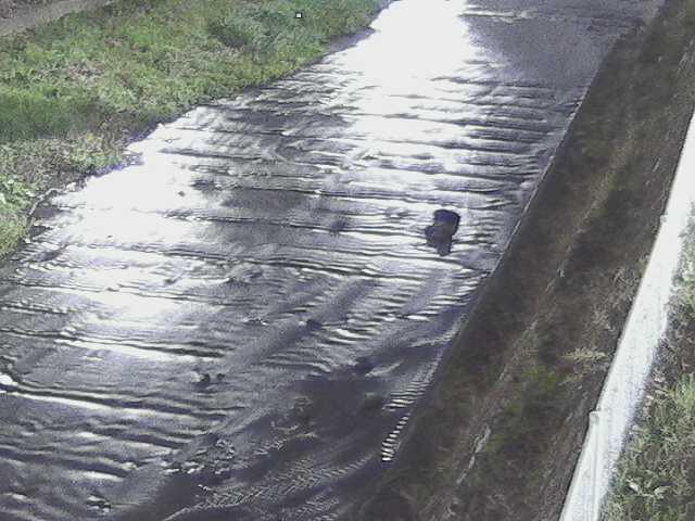 水上橋付近のカメラ画像