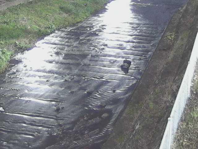 水上橋付近のカメラ画像