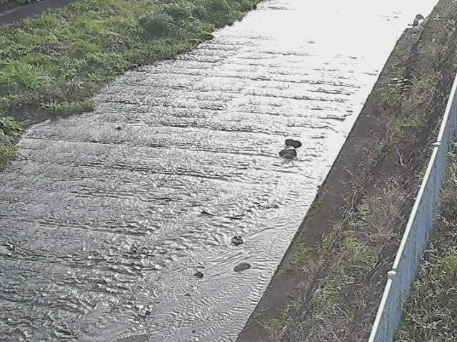 水上橋付近のカメラ画像