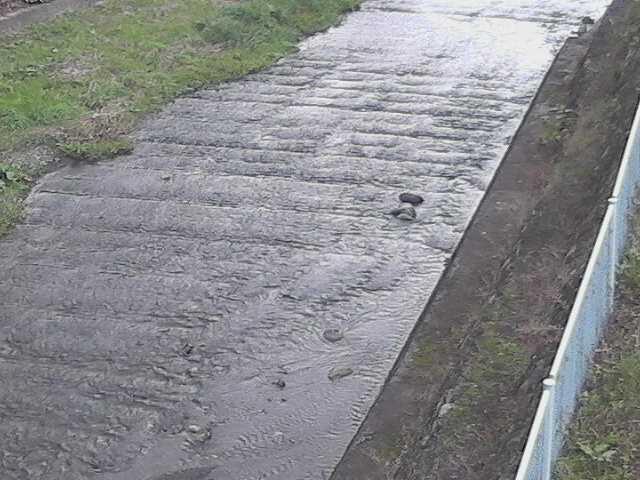 尺里川 水上橋付近のカメラ画像