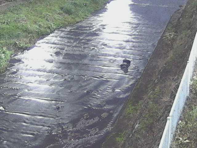 水上橋付近のカメラ画像