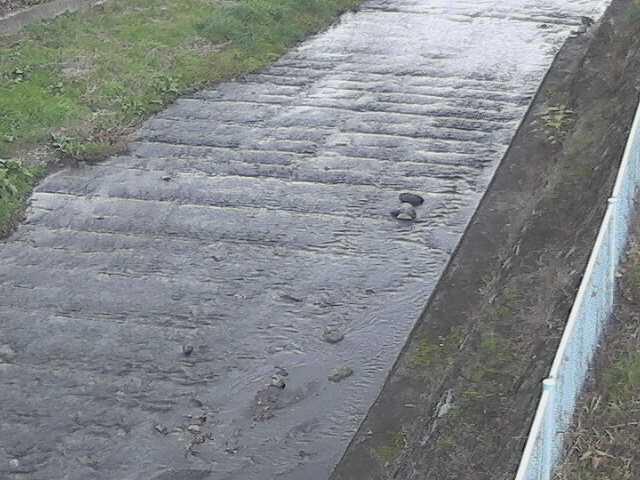 水上橋付近のカメラ画像