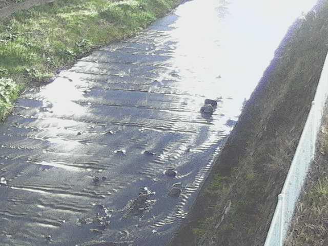 水上橋付近のカメラ画像