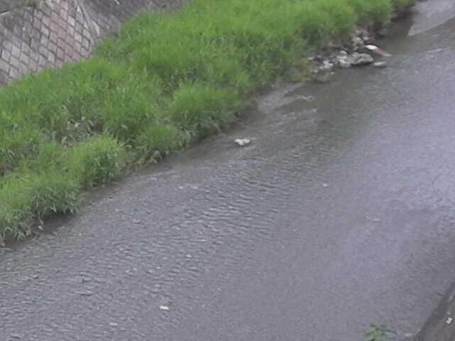 堀割橋付近のカメラ画像