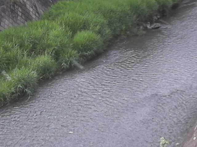 皆瀬川 堀割橋付近のカメラ画像