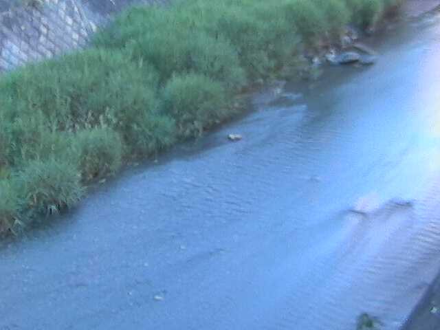 皆瀬川 堀割橋付近のカメラ画像