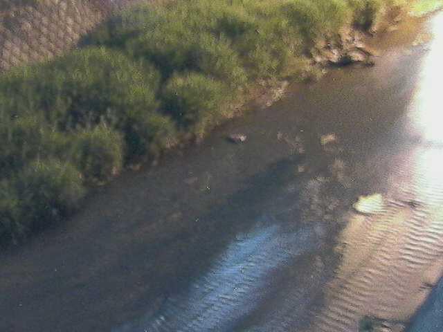 皆瀬川 堀割橋付近のカメラ画像
