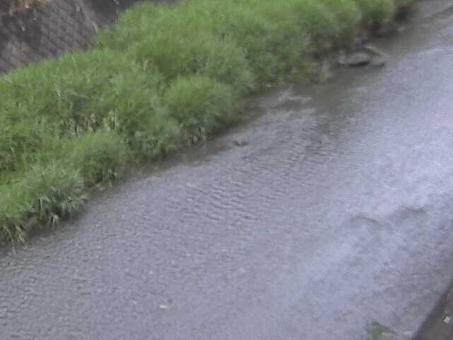 堀割橋付近のカメラ画像