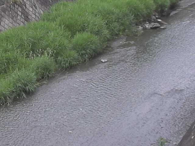堀割橋付近のカメラ画像