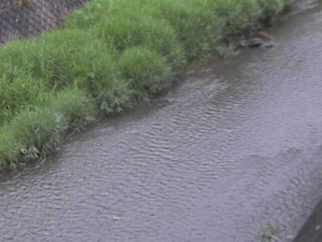 堀割橋付近のカメラ画像
