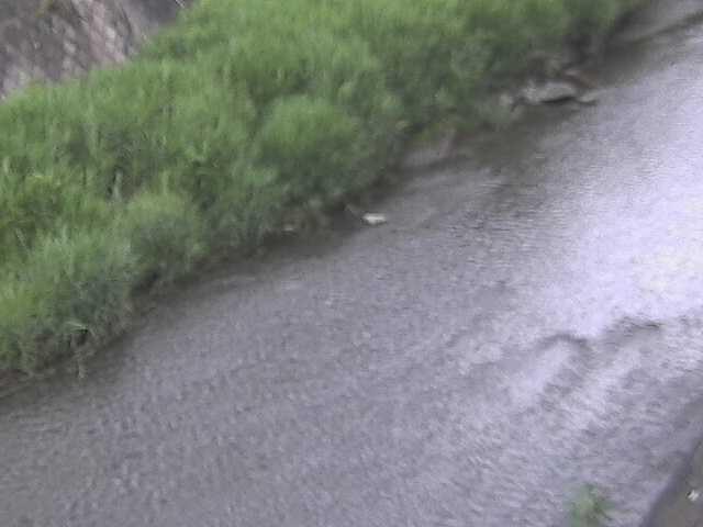 皆瀬川 堀割橋付近のカメラ画像