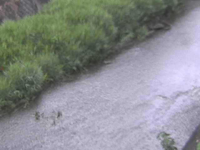 堀割橋付近のカメラ画像