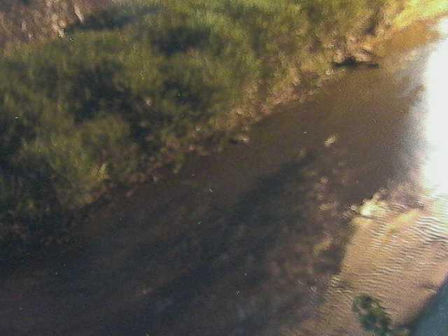 堀割橋付近のカメラ画像