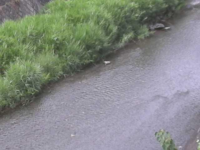 堀割橋付近のカメラ画像