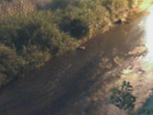 皆瀬川 堀割橋付近のカメラ画像