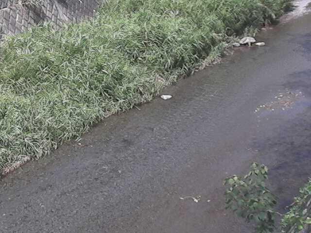 堀割橋付近のカメラ画像