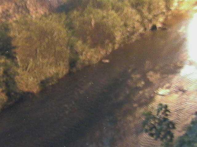皆瀬川 堀割橋付近のカメラ画像