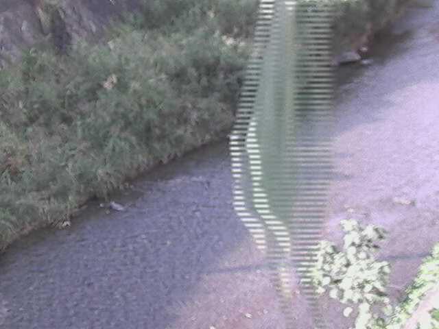 皆瀬川 堀割橋付近のカメラ画像