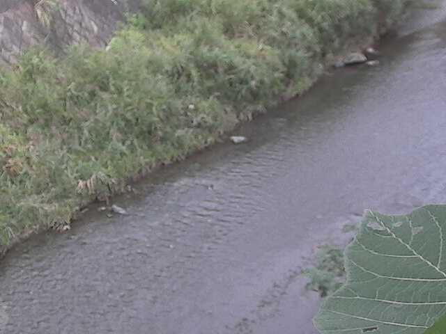 堀割橋付近のカメラ画像