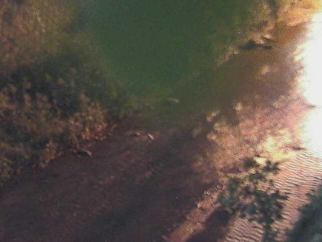 堀割橋付近のカメラ画像