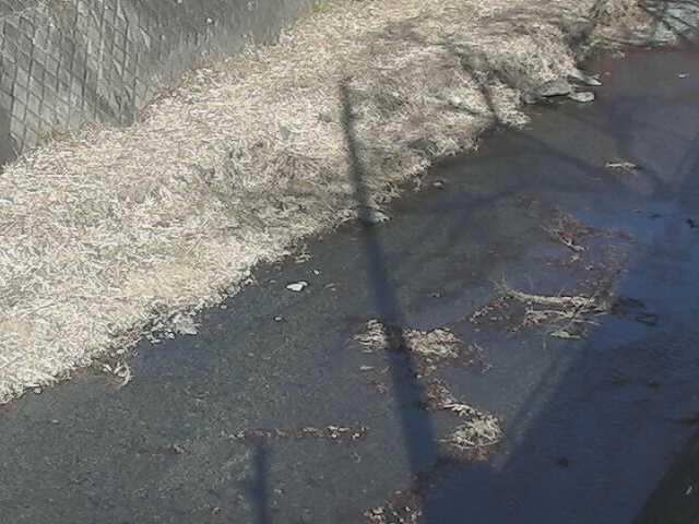 堀割橋付近のカメラ画像