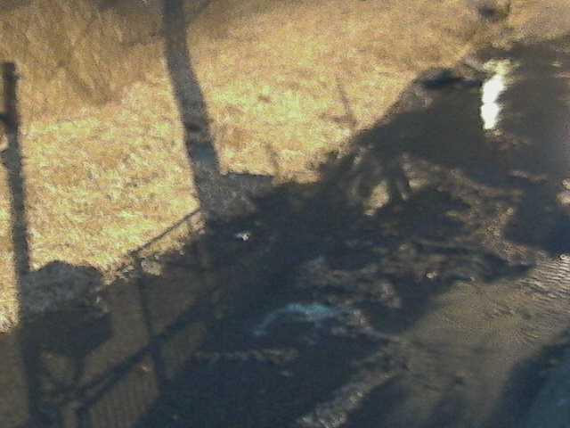 堀割橋付近のカメラ画像