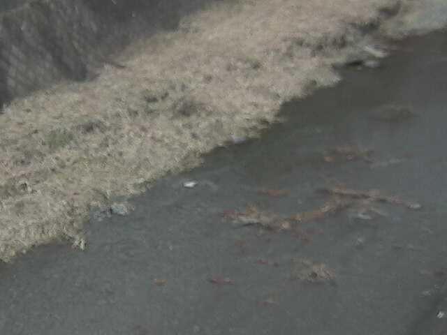 皆瀬川 堀割橋付近のカメラ画像