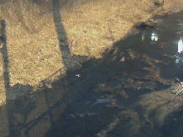 堀割橋付近のカメラ画像