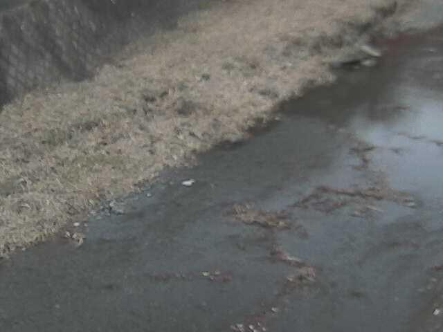 堀割橋付近のカメラ画像