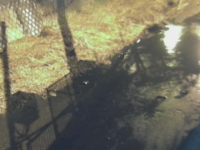 皆瀬川 堀割橋付近のカメラ画像