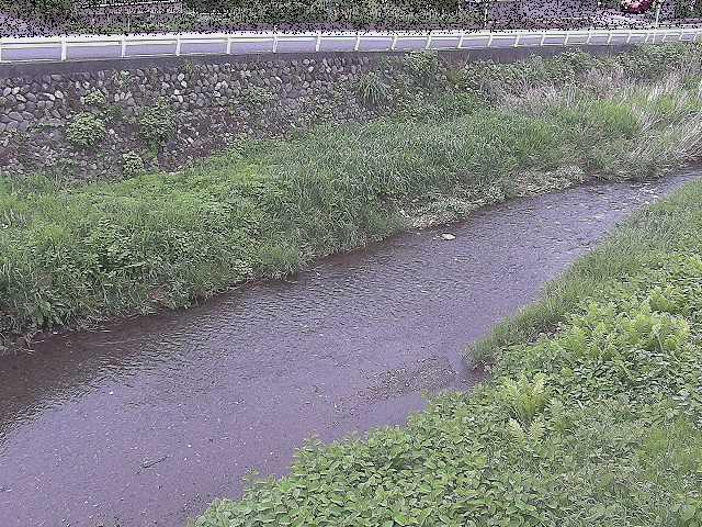 雑色付近のカメラ画像