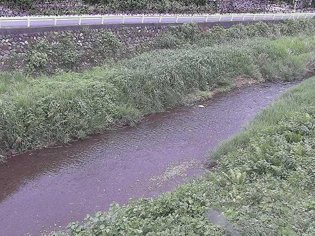 雑色付近のカメラ画像