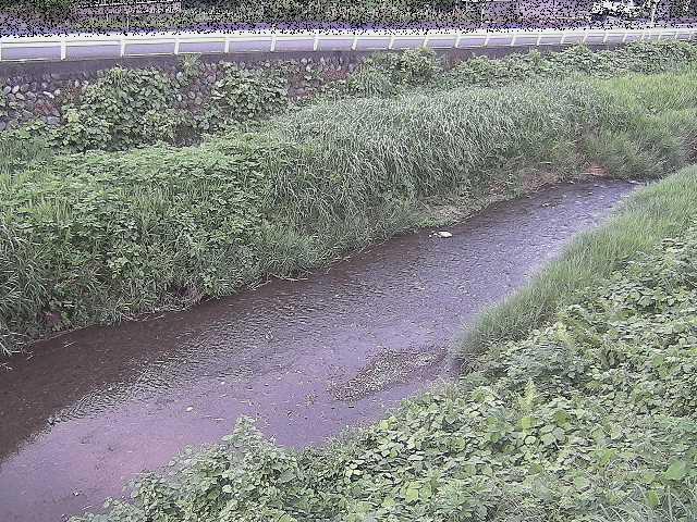 雑色付近のカメラ画像