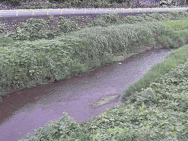 雑色付近のカメラ画像