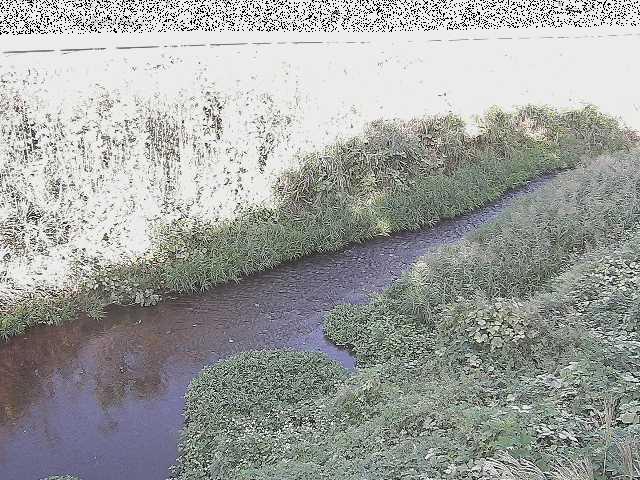 中村川 雑色付近のカメラ画像