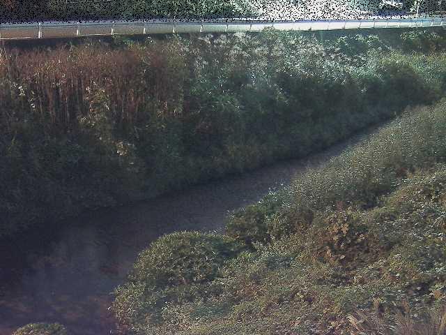 雑色付近のカメラ画像