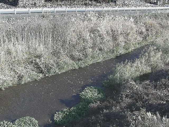 雑色付近のカメラ画像