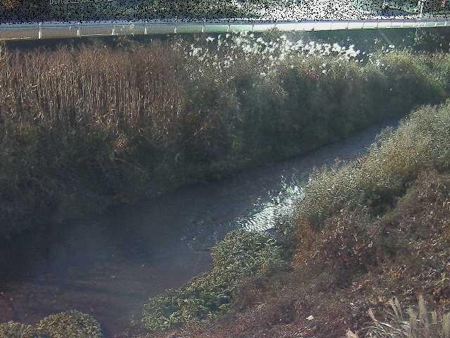 雑色付近のカメラ画像