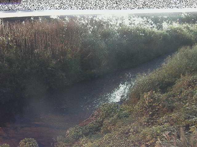 雑色付近のカメラ画像