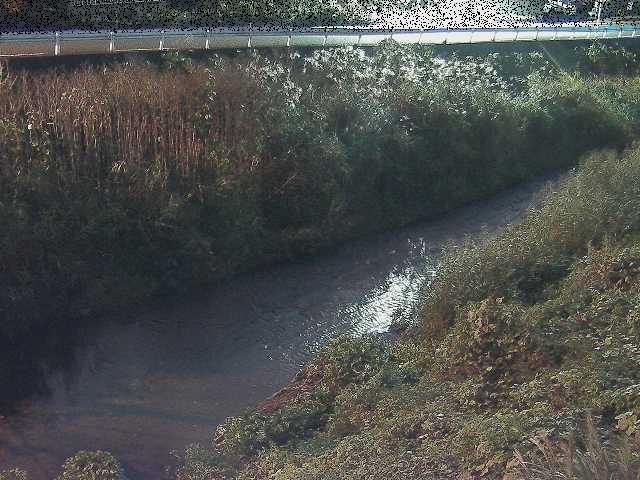 雑色付近のカメラ画像