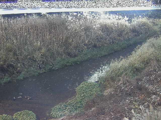 雑色付近のカメラ画像