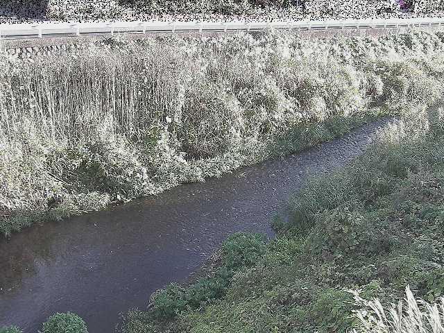 雑色付近のカメラ画像