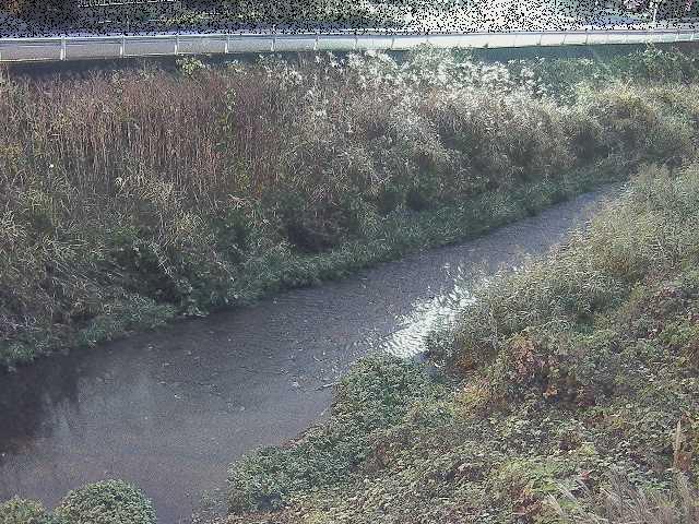 雑色付近のカメラ画像